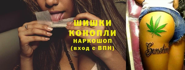 соль ск Дмитриев