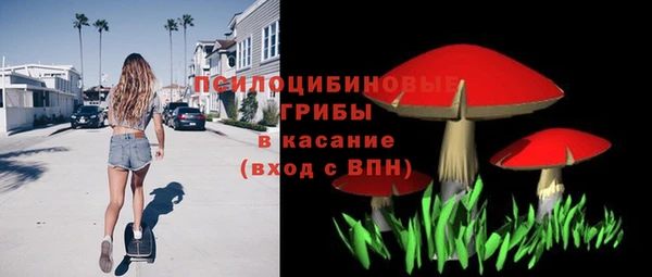 соль ск Дмитриев