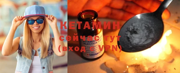 соль ск Дмитриев