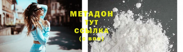 соль ск Дмитриев