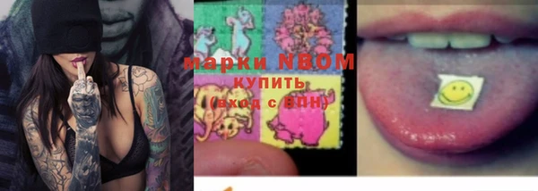 соль ск Дмитриев