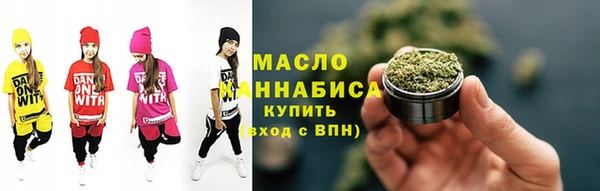 соль ск Дмитриев