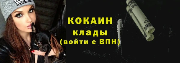 соль ск Дмитров