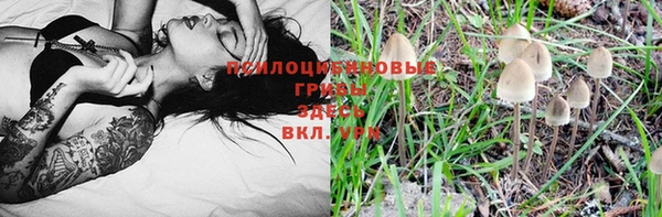каннабис Дмитровск