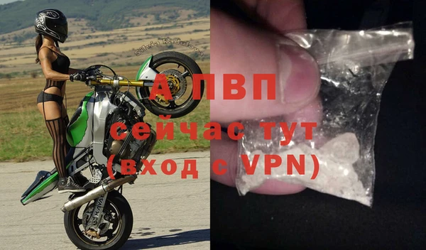 соль ск Дмитров