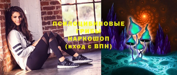 соль ск Дмитриев