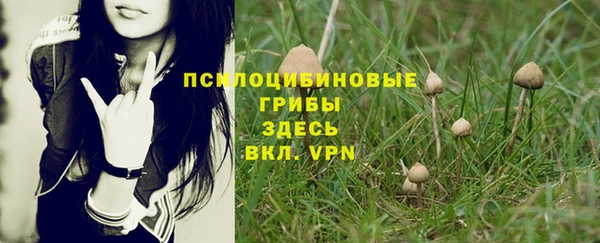 каннабис Дмитровск