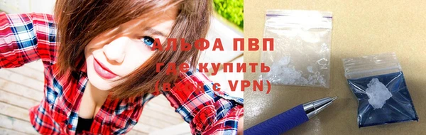 соль ск Дмитров